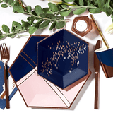 Pale Pink + Navy Dinner Plates