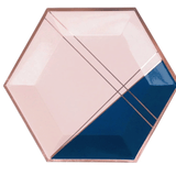 Pale Pink + Navy Dinner Plates